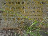 image of grave number 358912
